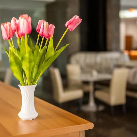 Sole Mio Wellness & Hotell Novi Sad