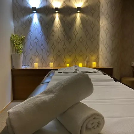 Sole Mio Wellness & Ξενοδοχείο Νόβι Σαντ